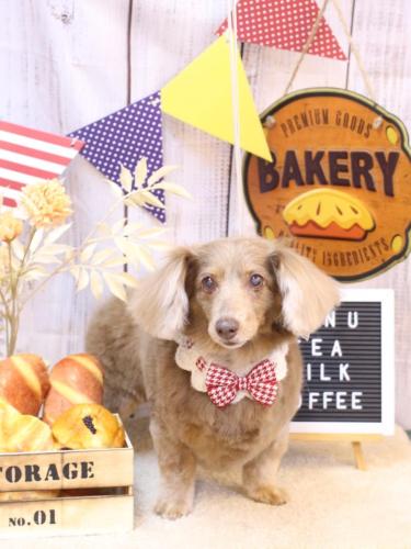 20240921桃ちゃん